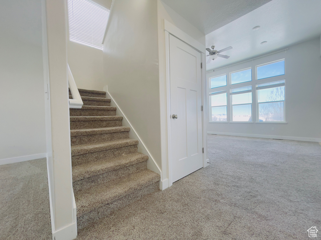 Staircase with light colored carpet and ceiling fan