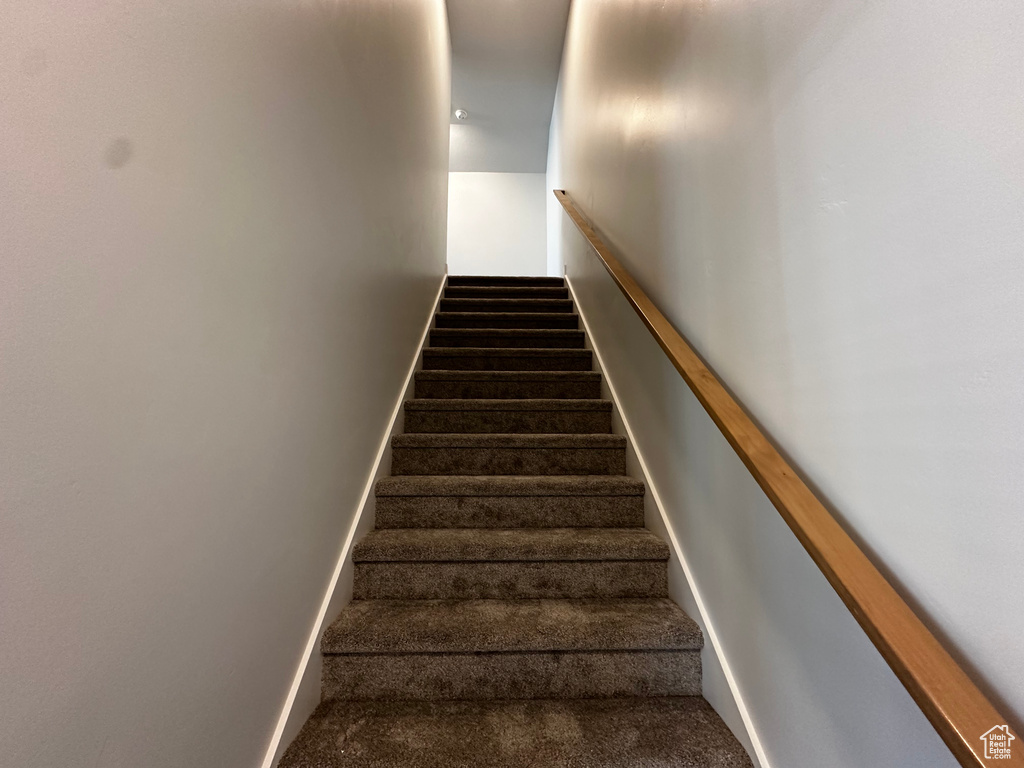 Staircase with carpet flooring