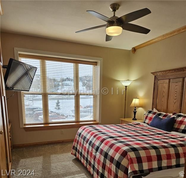 Carpeted bedroom with ceiling fan