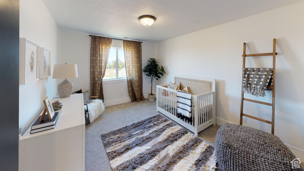 Sitting room with light carpet