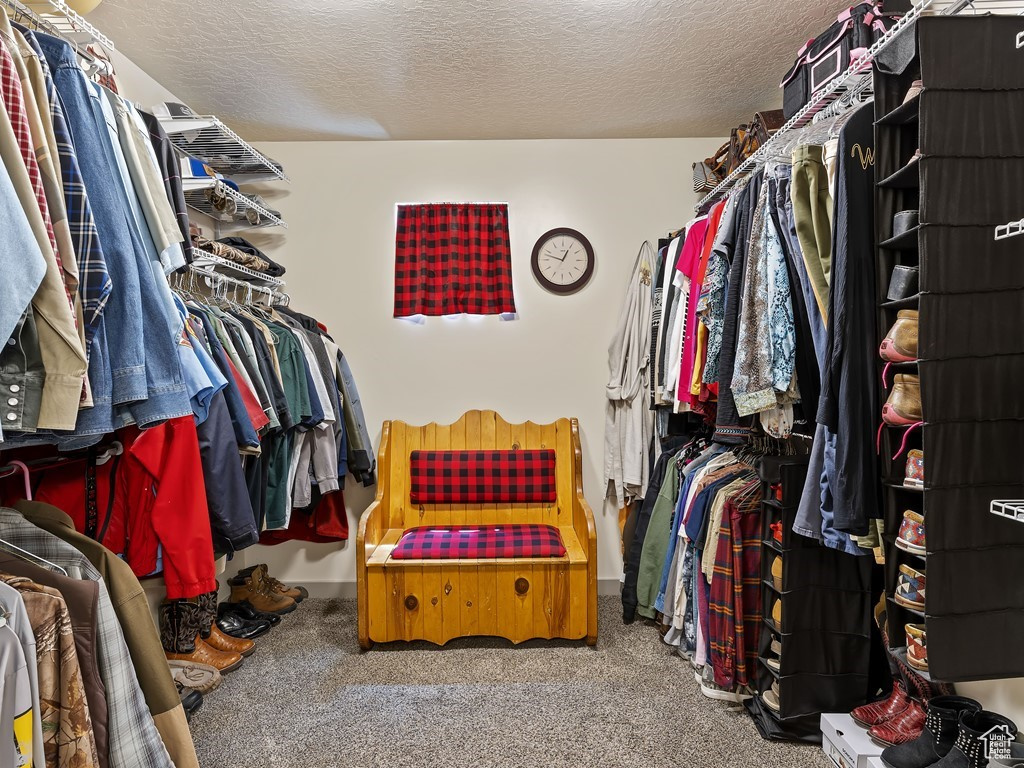 Spacious closet with dark colored carpet