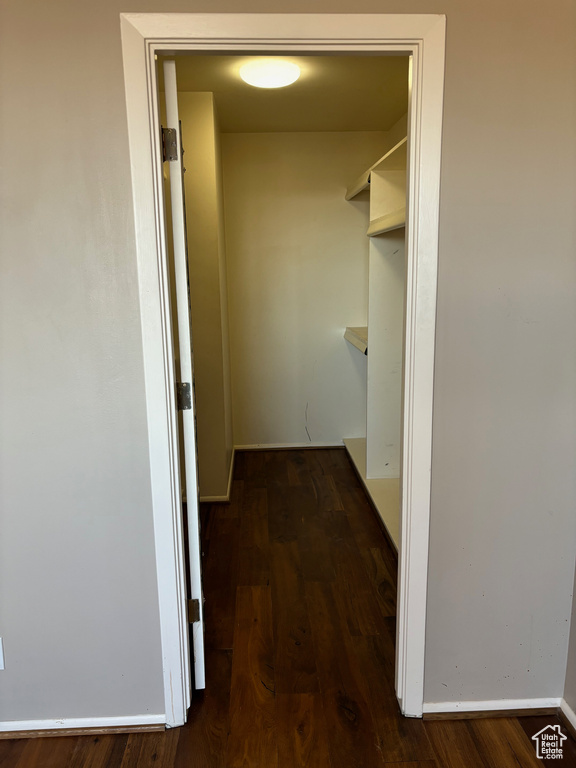 Spacious closet with dark hardwood / wood-style flooring