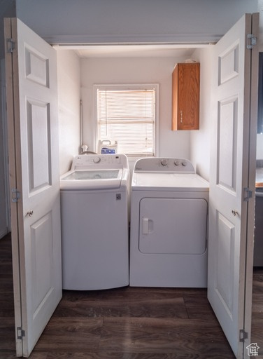 Laundry area featuring separate washer and dryer and dark hardwood / wood-style flooring