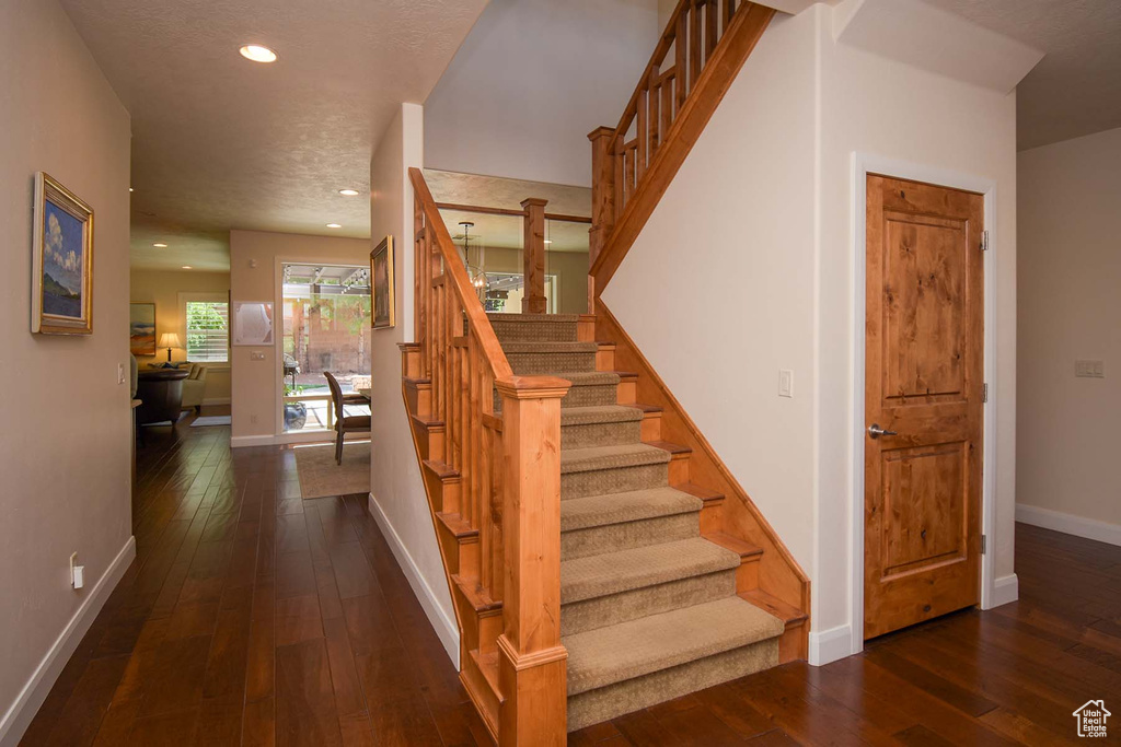 Stairway featuring dark hardwood / wood-style flooring