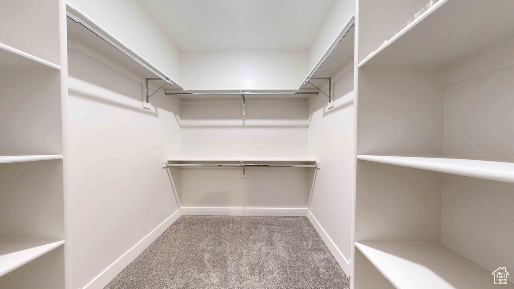 Spacious closet featuring carpet flooring