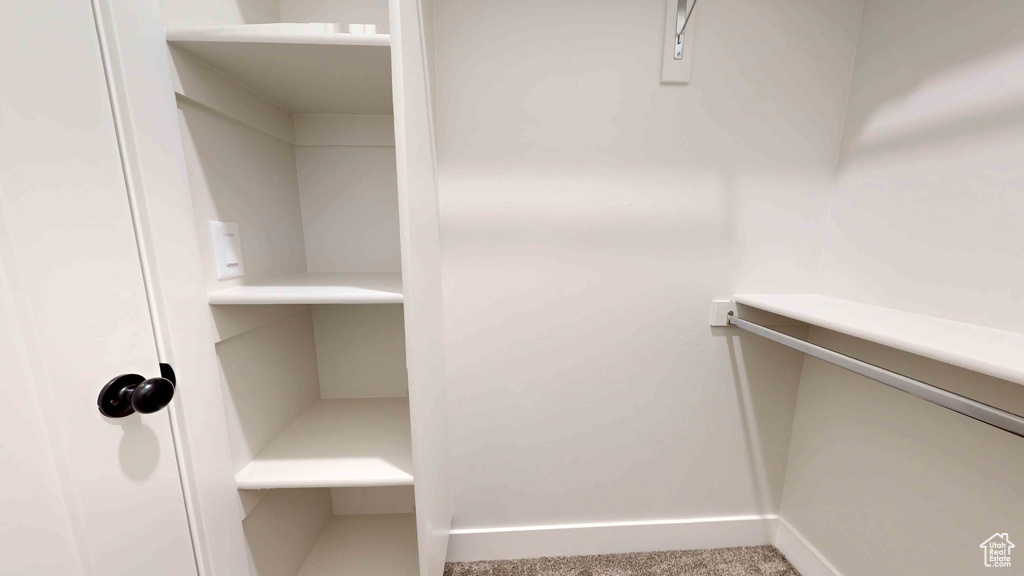 Spacious closet featuring carpet floors