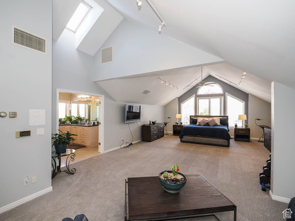 Bedroom with track lighting, vaulted ceiling with skylight, multiple windows, and light colored carpet