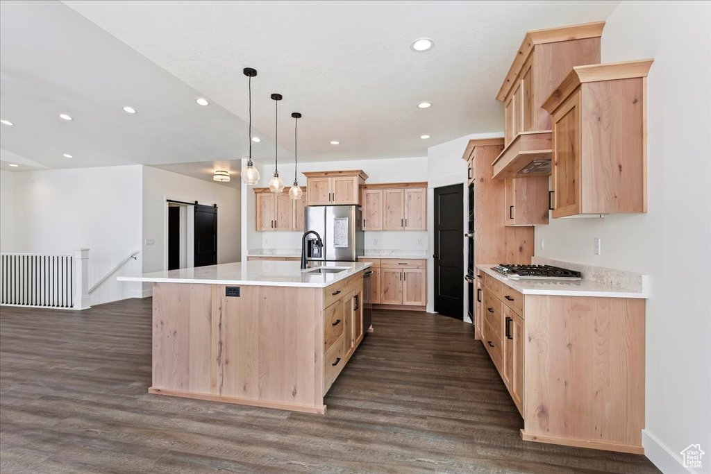 Kitchen with pendant lighting, stainless steel appliances, a kitchen island with sink, dark hardwood / wood-style floors, and sink