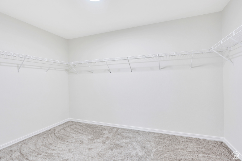 Spacious closet featuring light colored carpet