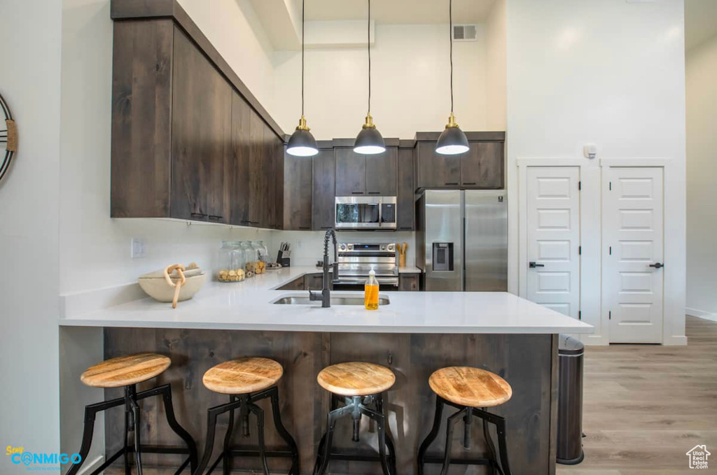 Kitchen with dark brown cabinetry, appliances with stainless steel finishes, pendant lighting, light hardwood / wood-style flooring, and sink