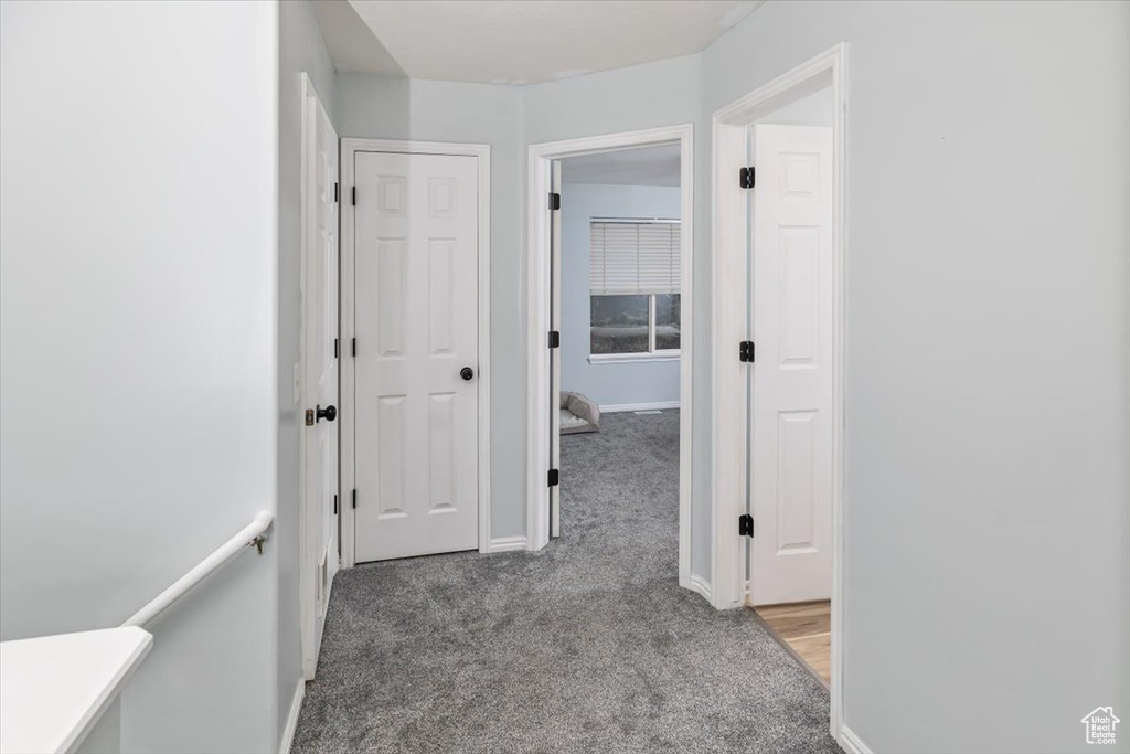 Hallway featuring carpet