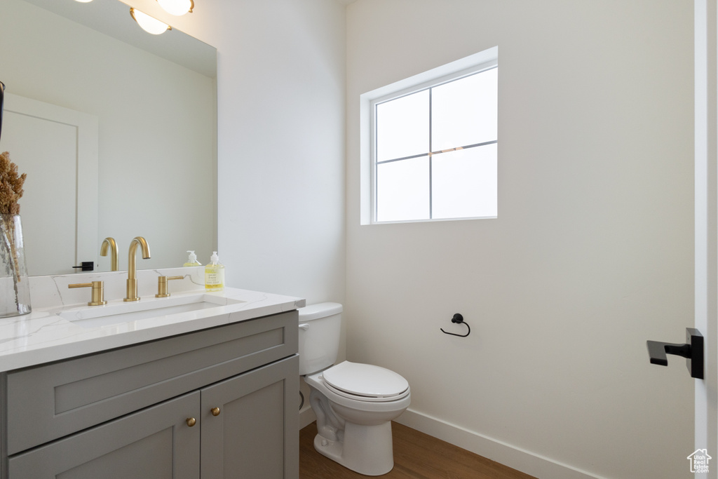 Bathroom featuring toilet, large vanity, and wood-type flooring