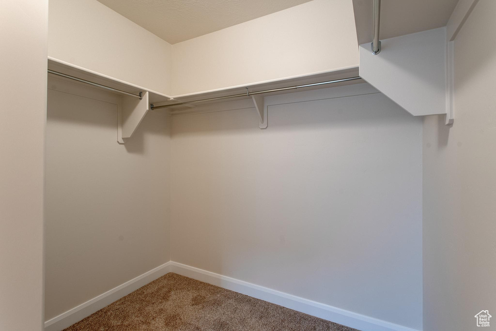 Spacious closet featuring carpet flooring