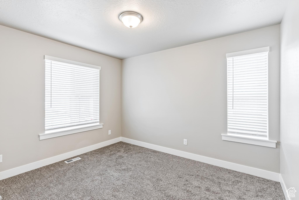 Spare room featuring light colored carpet and a healthy amount of sunlight