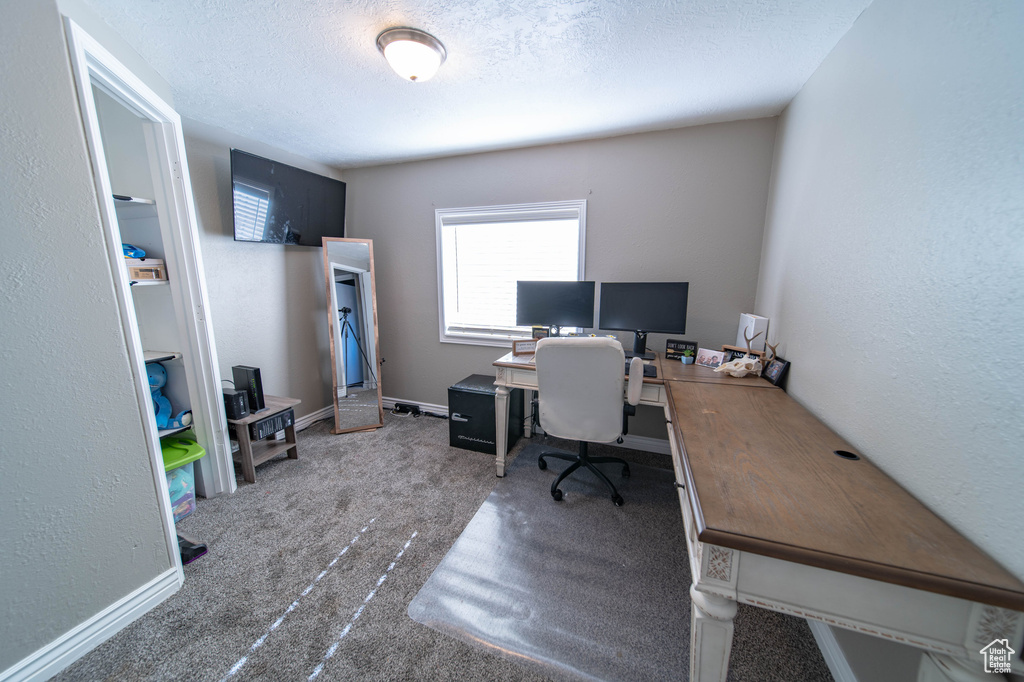 Office space with carpet floors and a textured ceiling