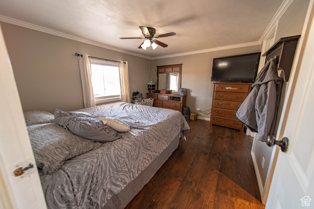 Bedroom with ornamental molding, dark hardwood / wood-style floors, and ceiling fan