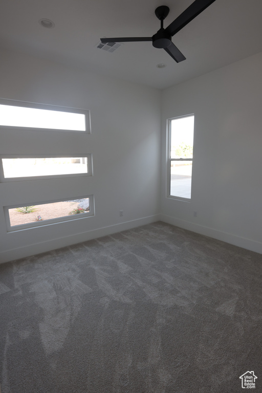 Carpeted spare room with plenty of natural light and ceiling fan