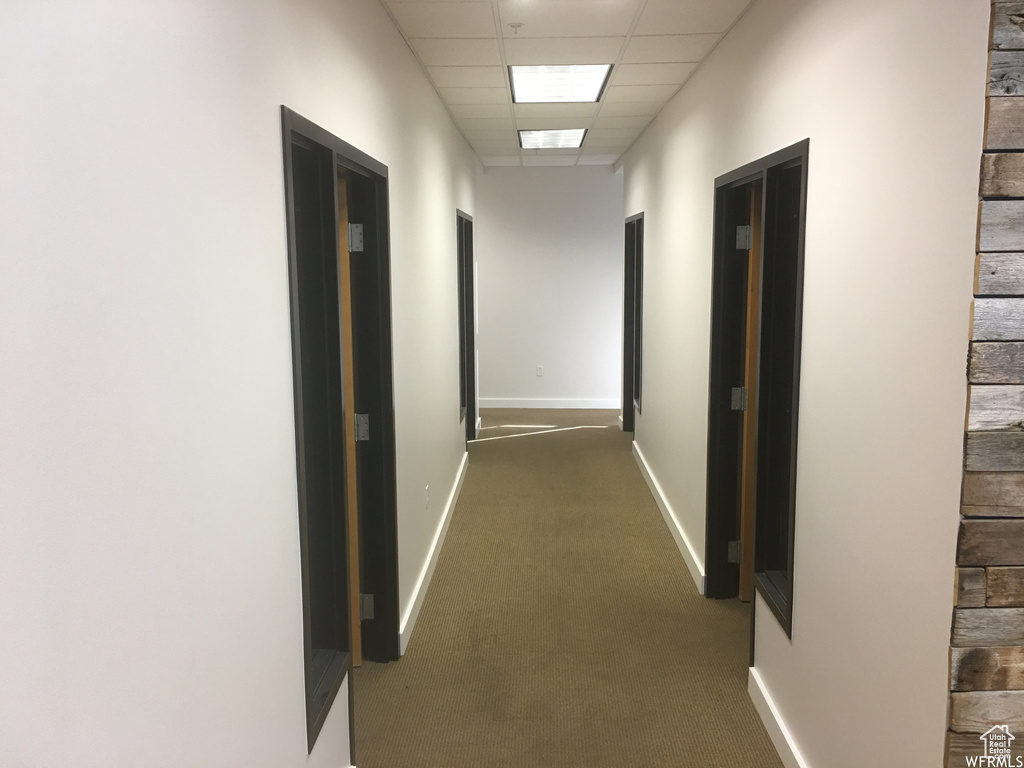 Corridor with a drop ceiling and dark carpet