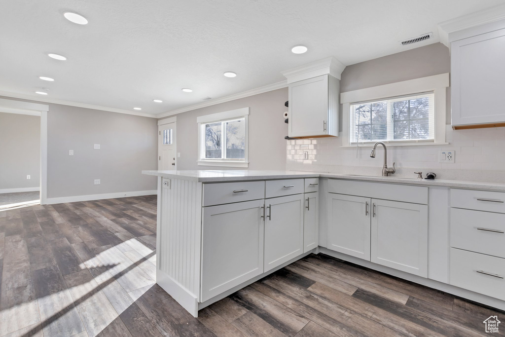 Kitchen featuring dark hardwood / wood-style flooring, white cabinetry, and a healthy amount of sunlight