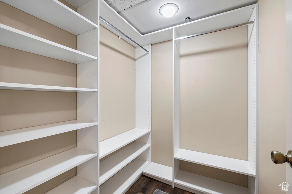 Spacious closet featuring dark wood-type flooring