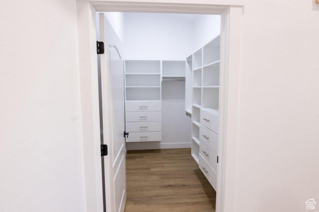 Spacious closet featuring light wood-type flooring
