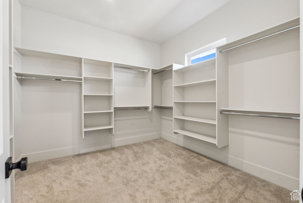Spacious closet featuring carpet