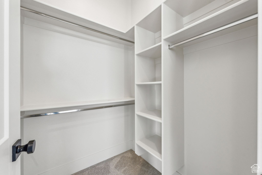 Spacious closet with carpet flooring
