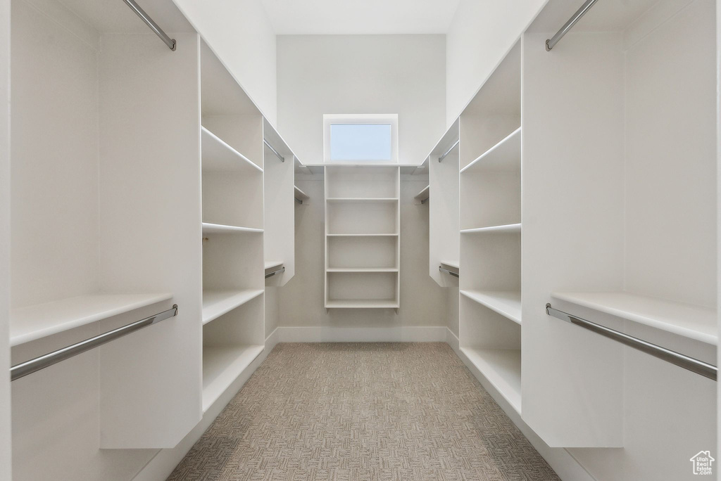 Spacious closet featuring light carpet