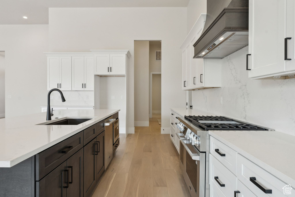Kitchen featuring high end stove, a sink, backsplash, and custom exhaust hood