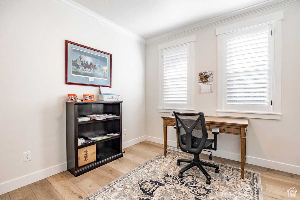 Office with crown molding and light hardwood / wood-style flooring