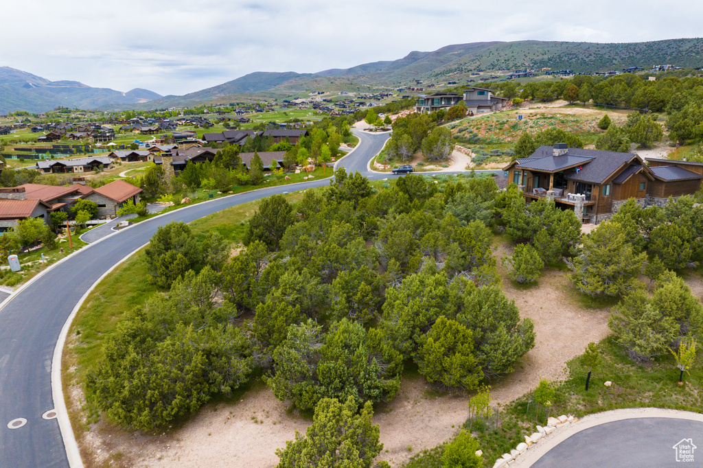 Aerial view with a mountain view