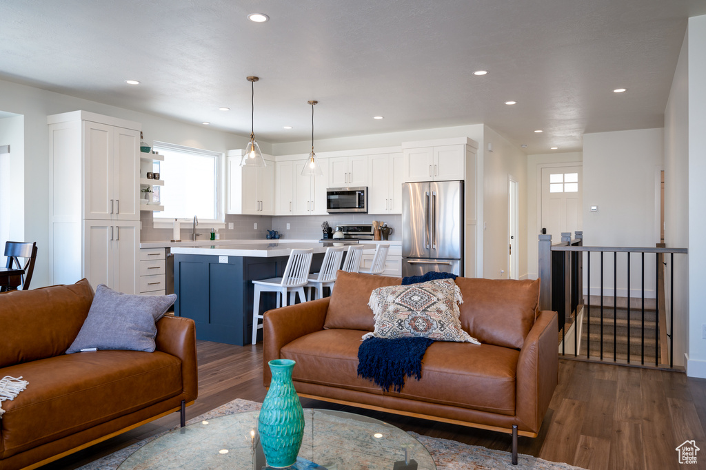 Living room featuring sink and dark wood-type flooring