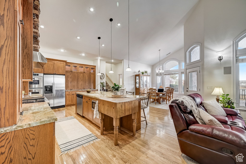 Kitchen featuring pendant lighting, light hardwood / wood-style floors, stainless steel appliances, and a kitchen island with sink