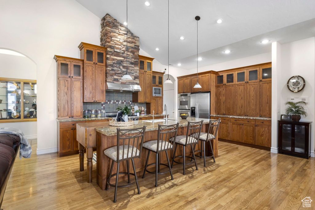 Kitchen featuring appliances with stainless steel finishes, pendant lighting, light hardwood / wood-style flooring, an island with sink, and high vaulted ceiling
