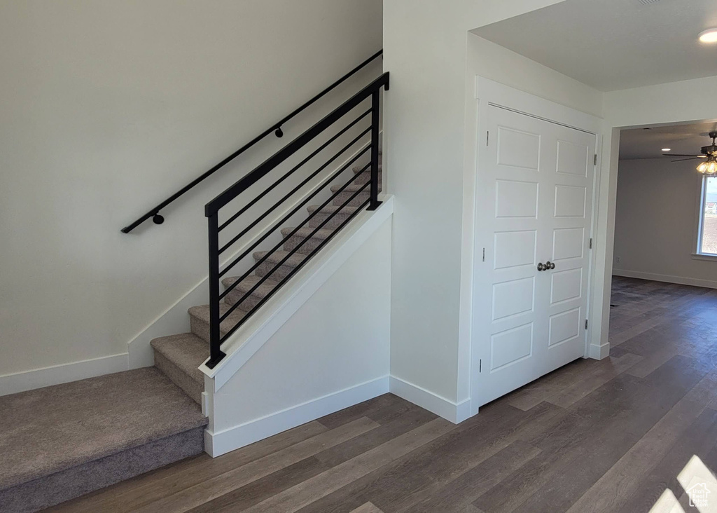 Stairway with ceiling fan and dark hardwood / wood-style flooring