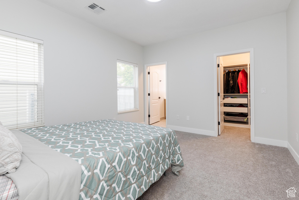 Carpeted bedroom with a walk in closet and connected bathroom
