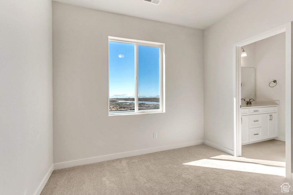 Unfurnished bedroom featuring multiple windows and light colored carpet