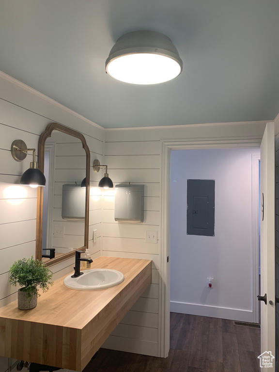 Bathroom with sink, wooden walls, and hardwood / wood-style flooring