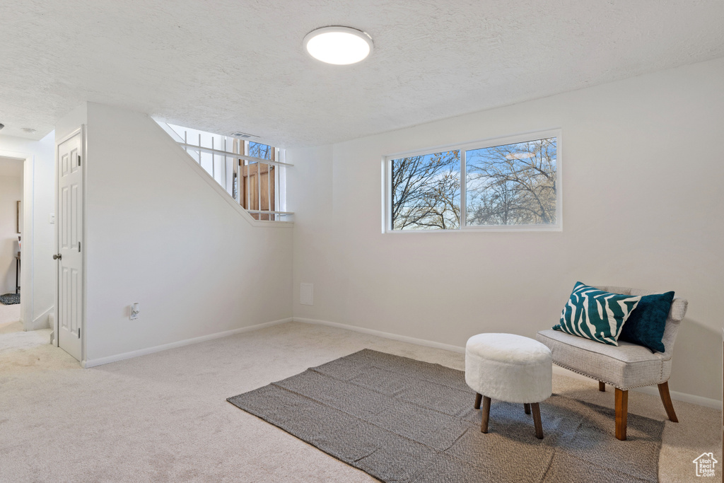 Sitting room featuring light colored carpet and a textured ceiling