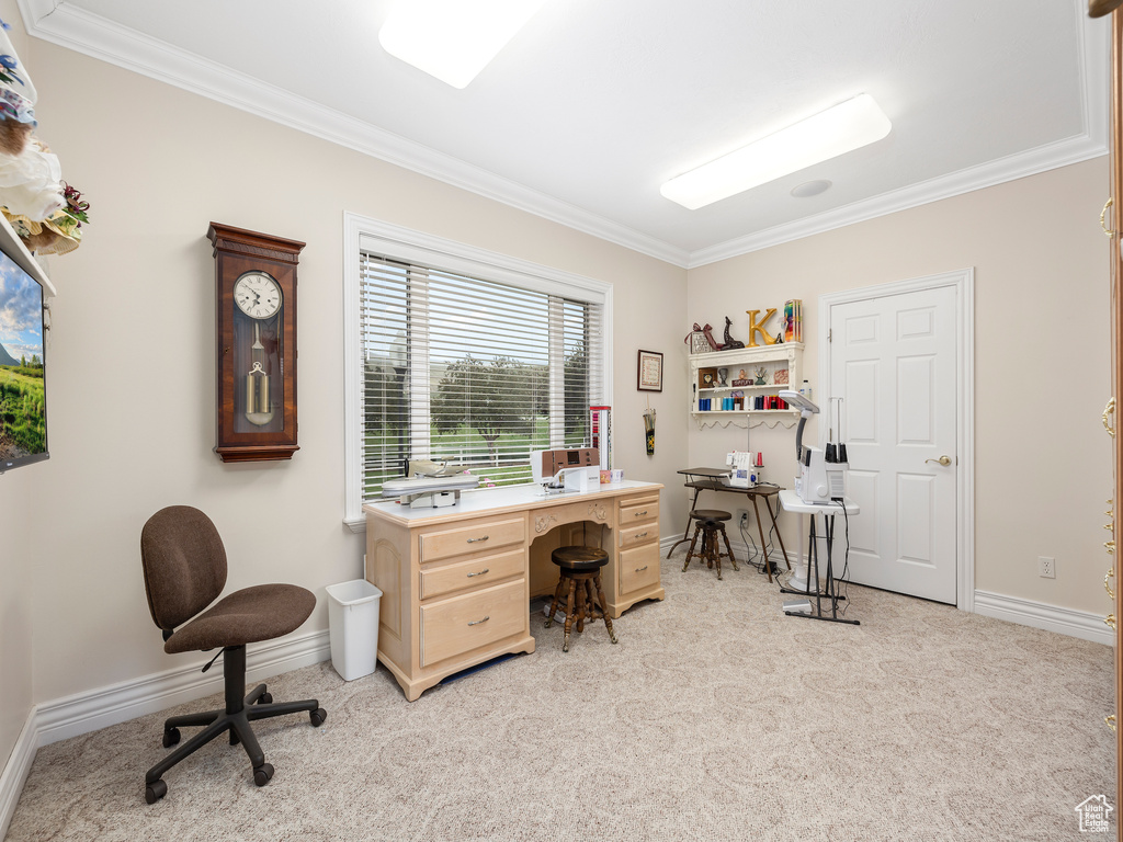 Home office with light carpet and ornamental molding