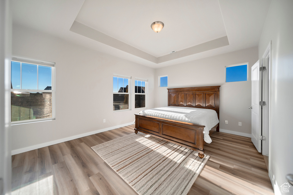 Unfurnished bedroom with light hardwood / wood-style flooring and a raised ceiling
