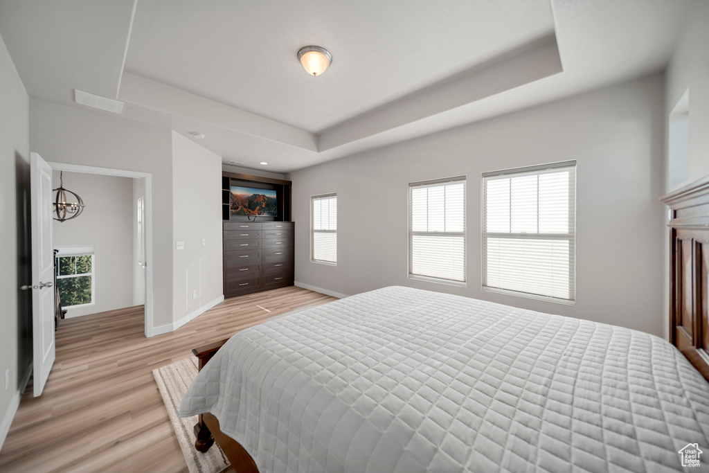 Bedroom with light hardwood / wood-style flooring and a tray ceiling