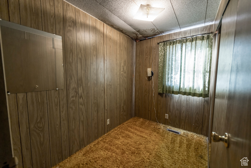 Carpeted empty room featuring wood walls