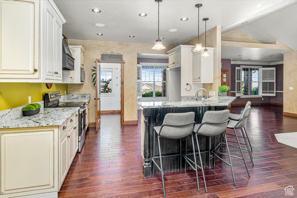 Kitchen with a wealth of natural light, dark hardwood / wood-style flooring, and stainless steel electric stove