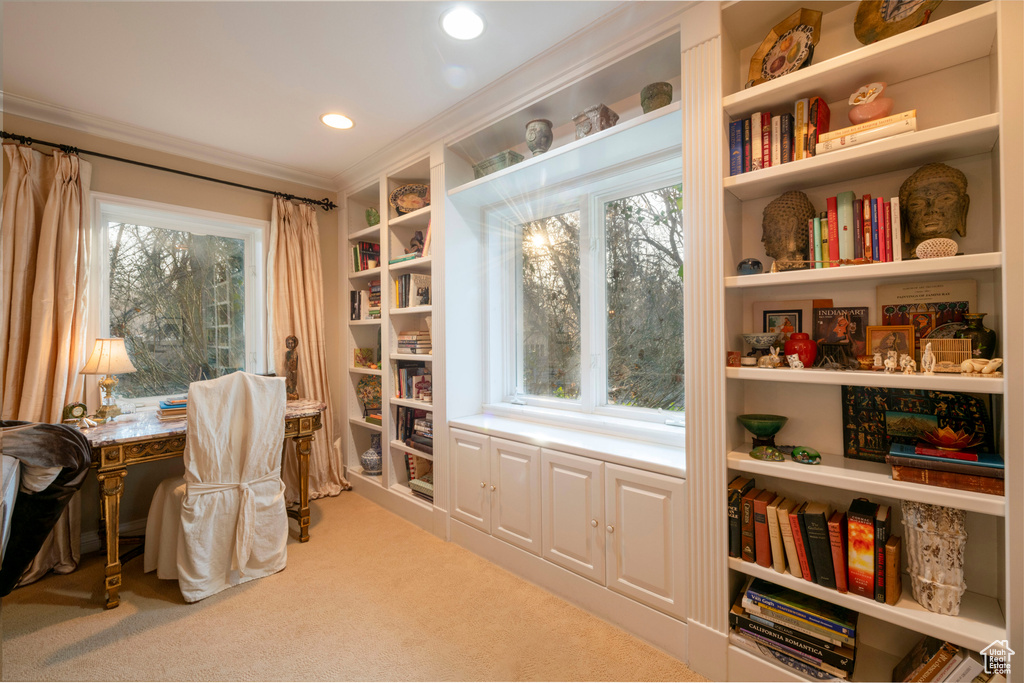 Carpeted home office with ornamental molding and a healthy amount of sunlight