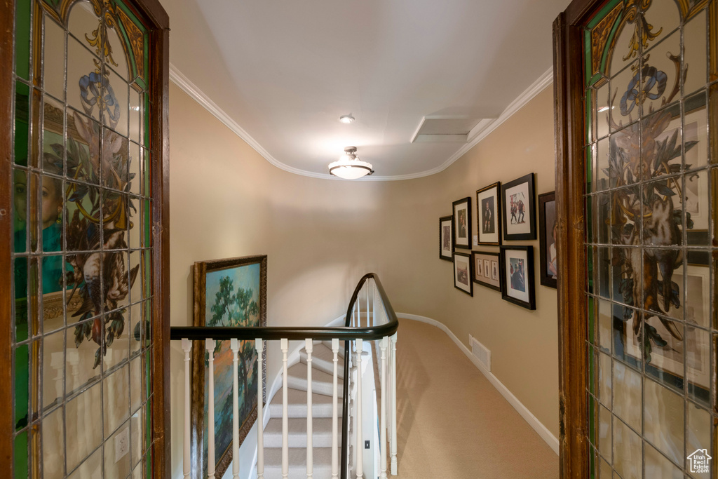 Corridor with crown molding and carpet flooring