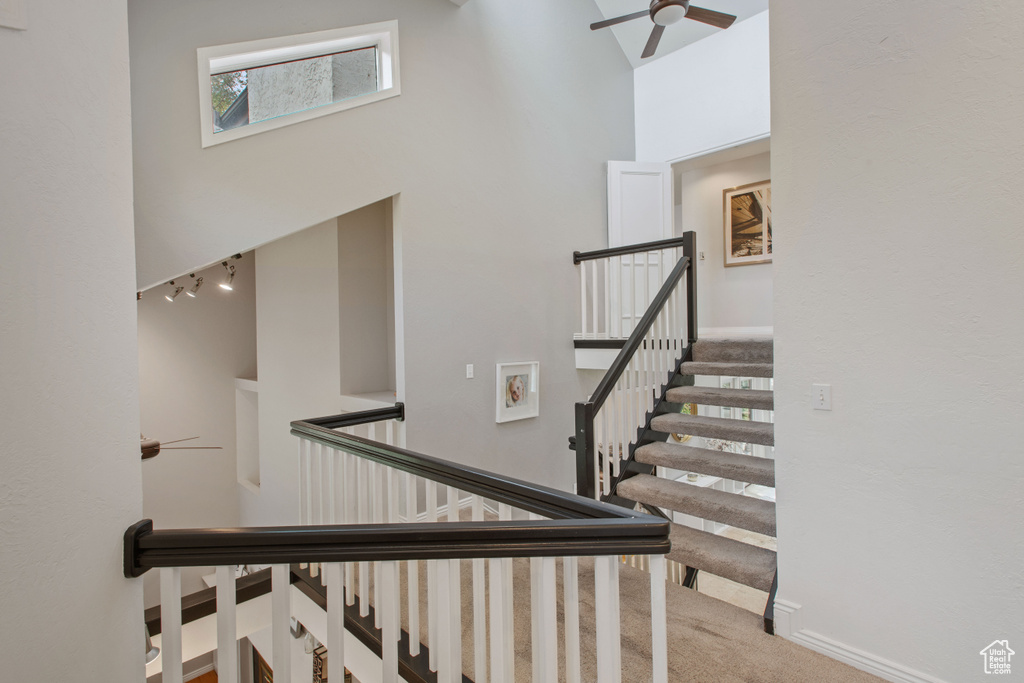 Stairs featuring carpet floors, ceiling fan, a high ceiling, and track lighting