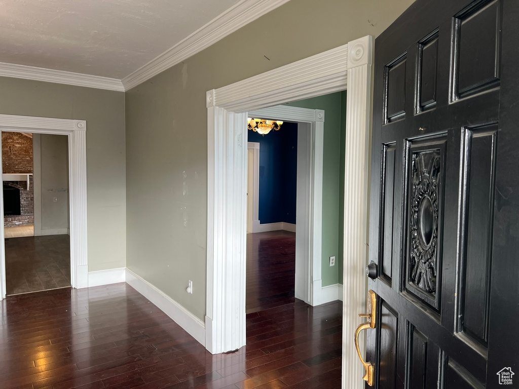 Foyer featuring dark wood-type flooring, an inviting chandelier, a fireplace, and crown molding