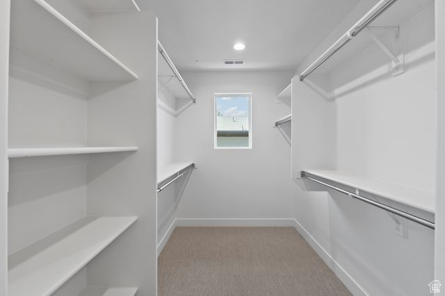 Walk in closet featuring carpet floors