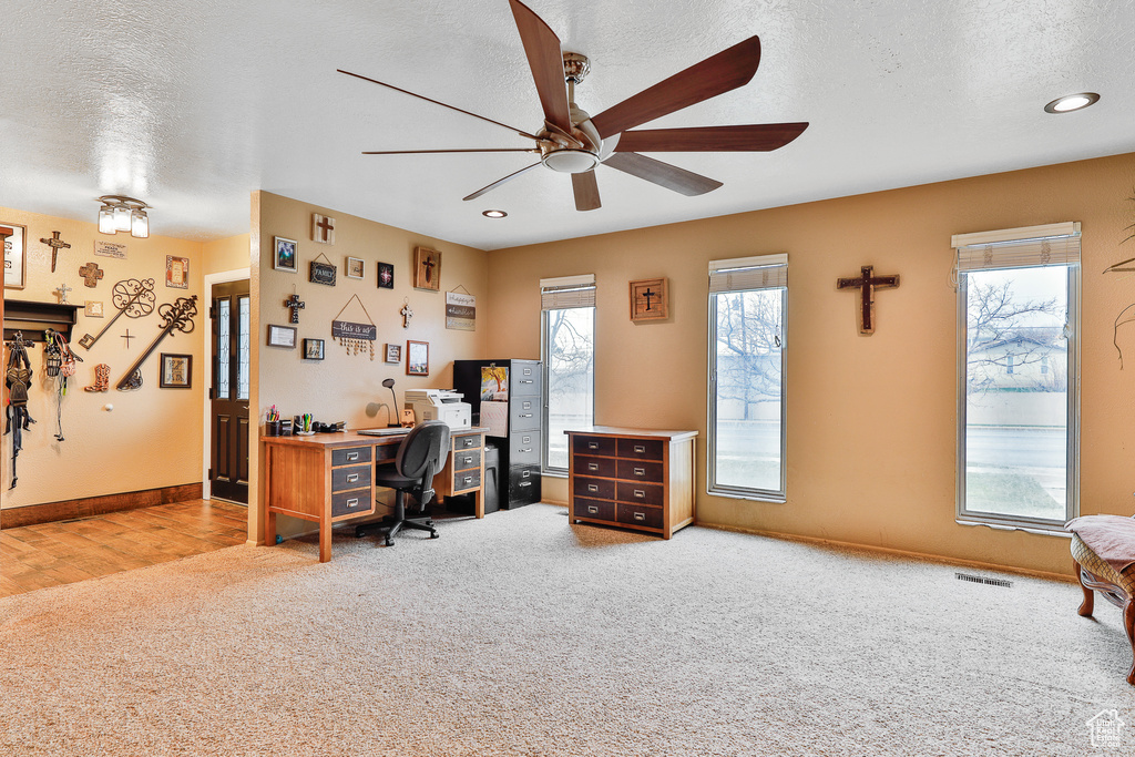 Office space with light colored carpet, a textured ceiling, and ceiling fan